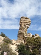 Tucson 2573